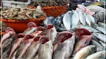 المرجان بـ 30 جنيهًا.. أسعار الأسماك اليوم في سوق العبور تشهد استقرارًا | ما مصير البلطي والجمبري؟